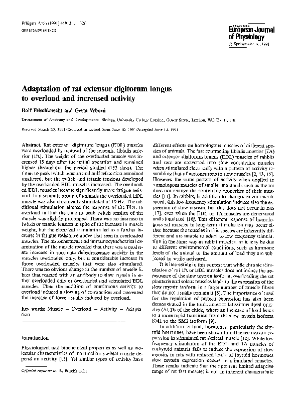 (PDF) Adaptation of rat extensor digitorum longus to overload and ...