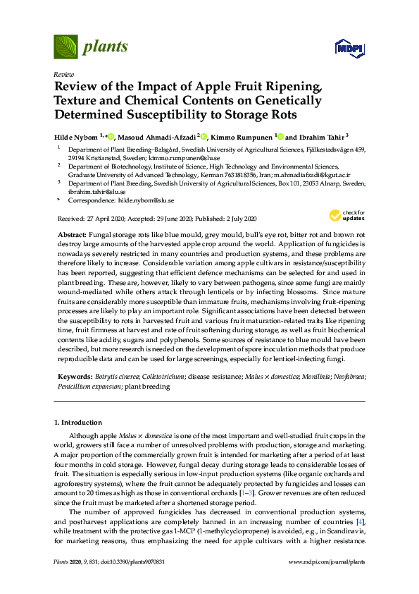 Review of the Impact of Apple Fruit Ripening, Texture and Chemical ...