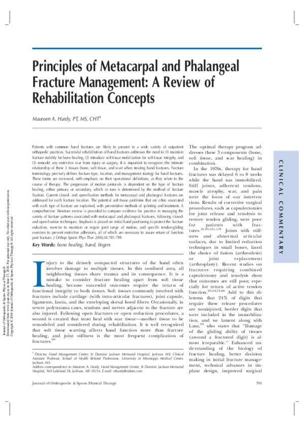 Sports physiotherapy articles pdf picture