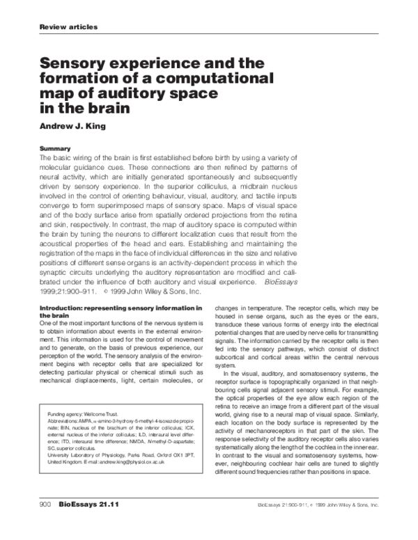 (PDF) Sensory experience and the formation of a computational map of ...