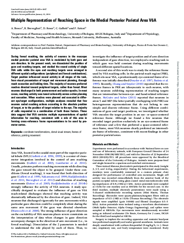 (PDF) Multiple Representation of Reaching Space in the Medial Posterior ...