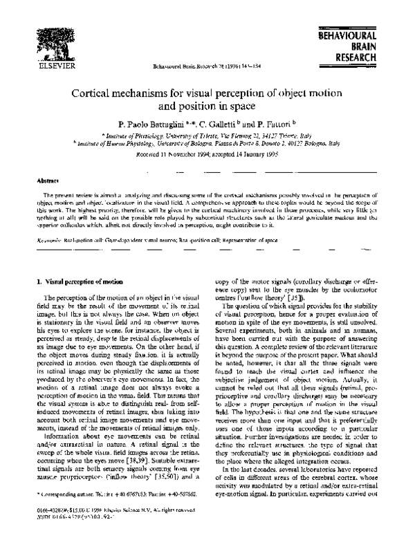 (PDF) Cortical mechanisms for visual perception of object motion and ...
