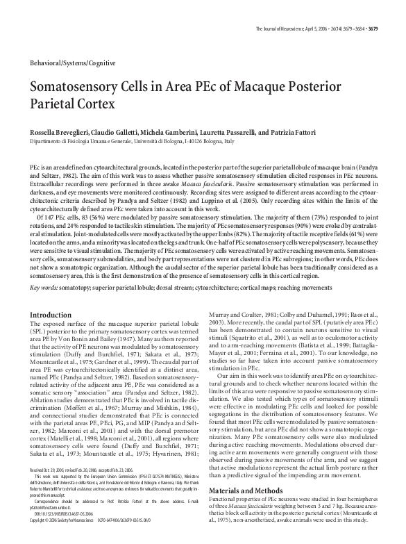 (PDF) Somatosensory Cells in Area PEc of Macaque Posterior Parietal Cortex