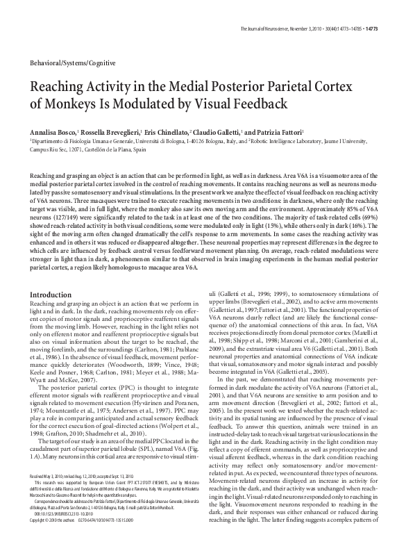 (PDF) Reaching Activity in the Medial Posterior Parietal Cortex of ...