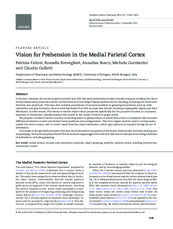 (PDF) Vision for Prehension in the Medial Parietal Cortex