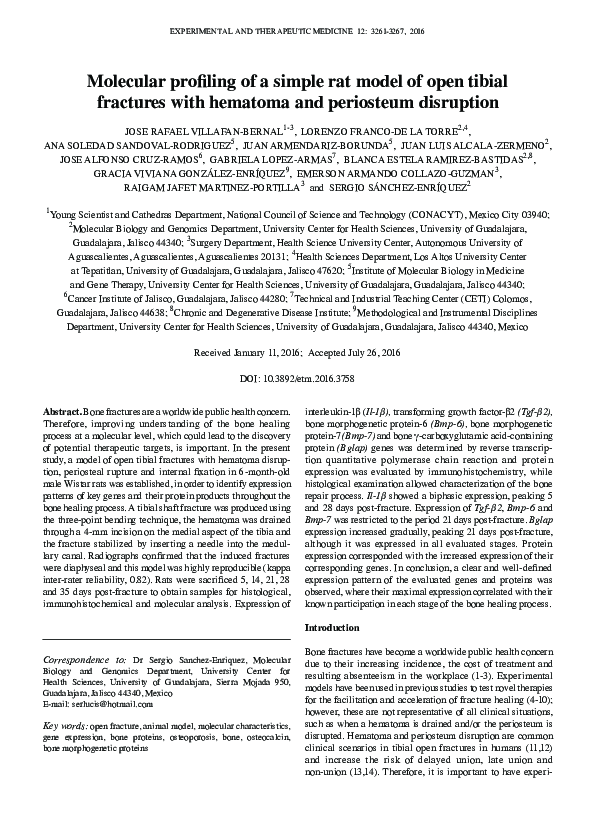 (PDF) Molecular profiling of a simple rat model of open tibial ...