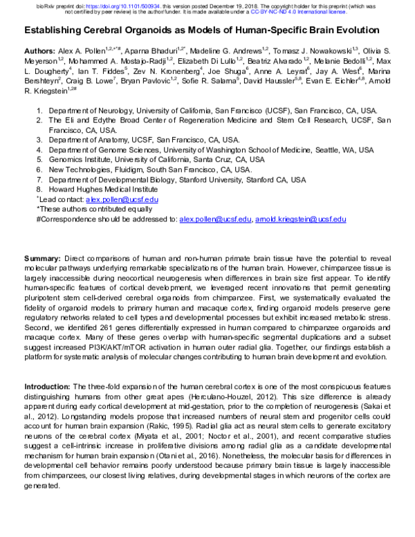 (PDF) Establishing Cerebral Organoids as Models of Human-Specific Brain ...