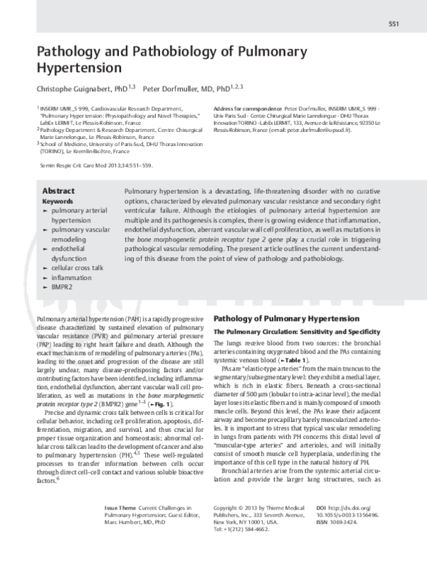(PDF) Pathology and Pathobiology of Pulmonary Hypertension