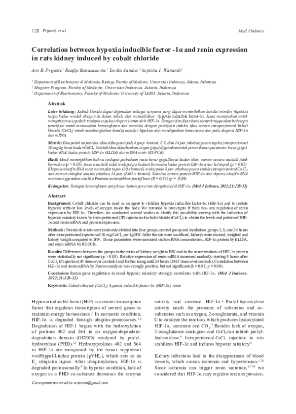 (PDF) Correlation between hypoxia inducible factor -1α and renin ...