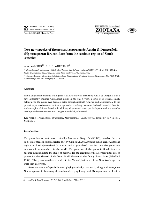 Two new species of the genus Austrocotesia Austin & Dangerfield (Hymenoptera: Braconidae) from the Andean region of South America