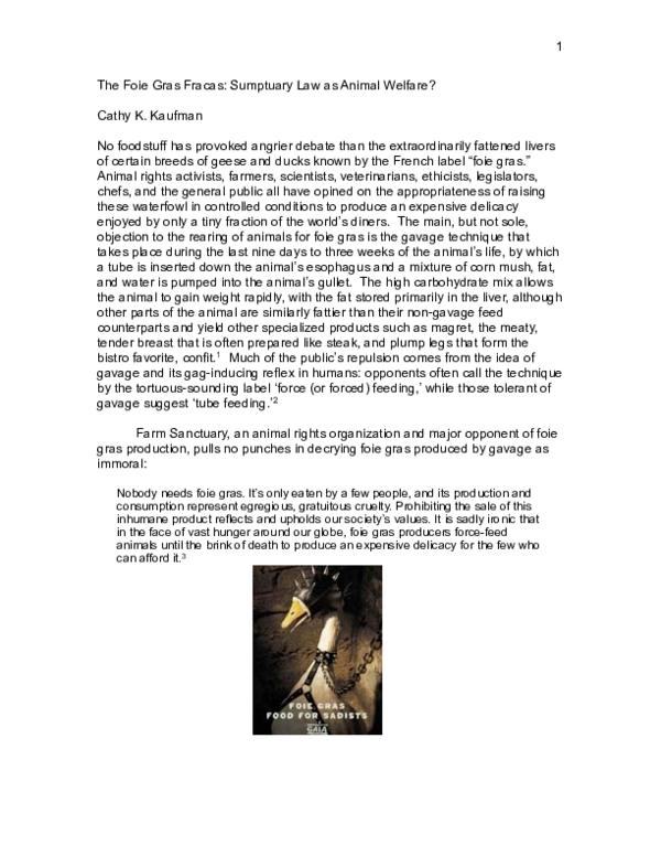 paper cover thumbnail