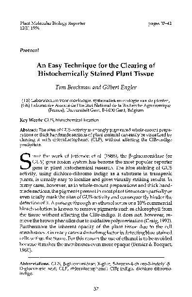 Short essay on plant tissue picture