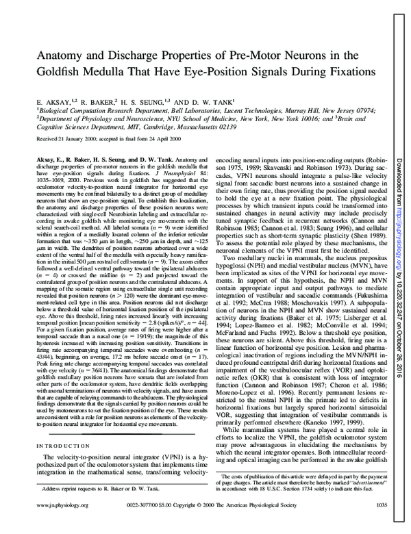 (PDF) Anatomy and discharge properties of pre-motor neurons in the ...