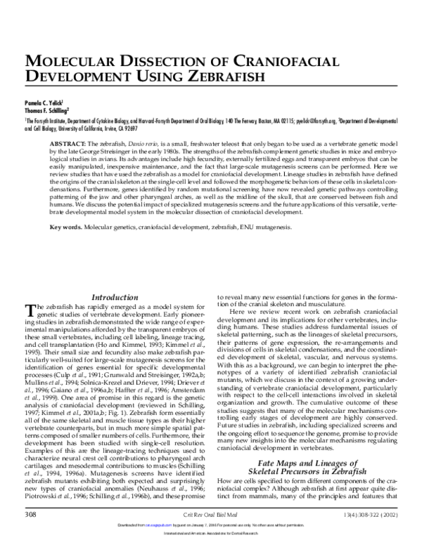 (PDF) Molecular Dissection of Craniofacial Development Using Zebrafish