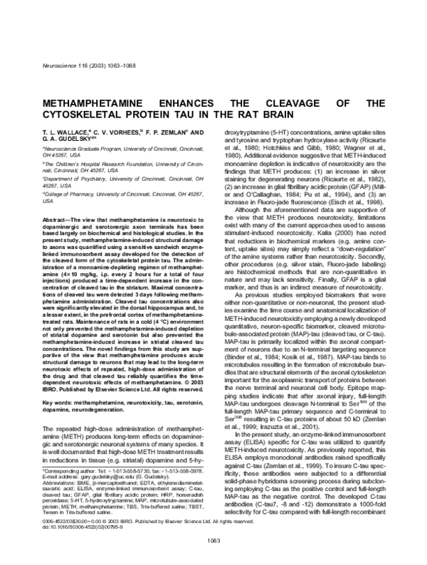 (PDF) Methamphetamine enhances the cleavage of the cytoskeletal protein ...