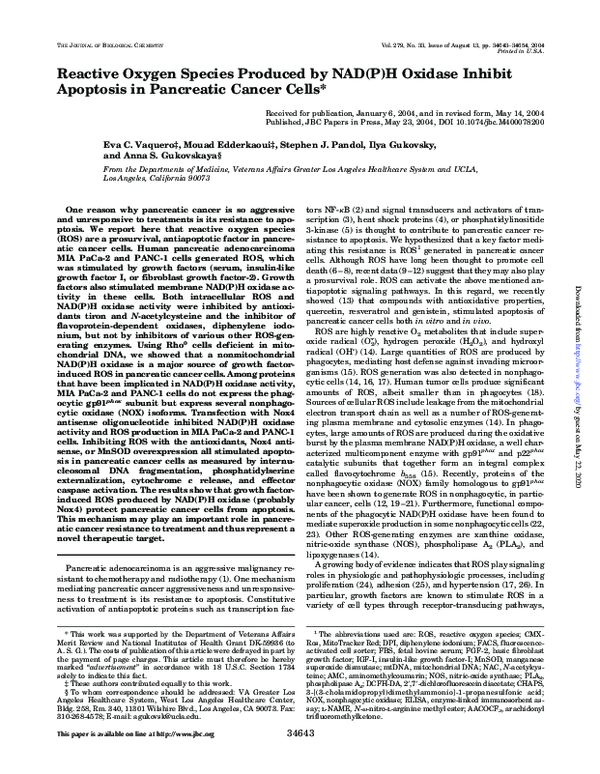 (PDF) Reactive oxygen species produced by NADPH oxidase are involved in ...