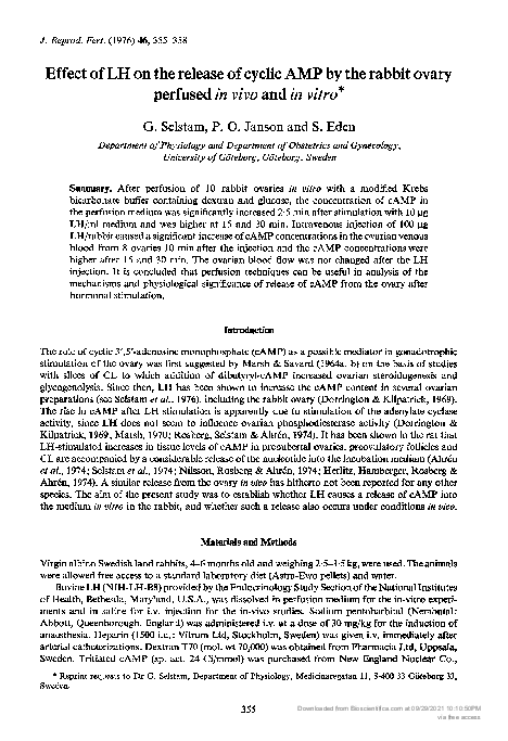 (PDF) Effect of LH on the release of cyclic AMP by the rabbit ovary ...