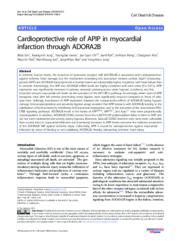 (PDF) Cardioprotective role of APIP in myocardial infarction through ...