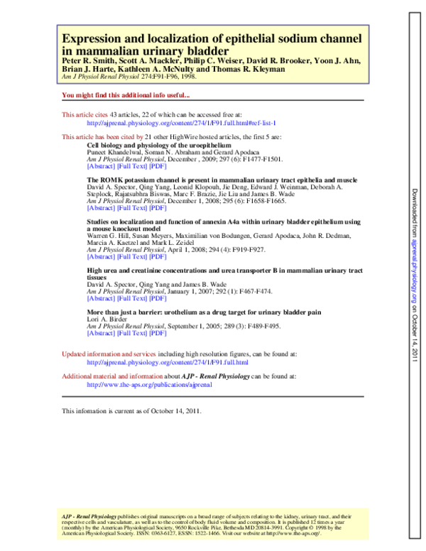 (PDF) Expression and localization of epithelial sodium channel in ...