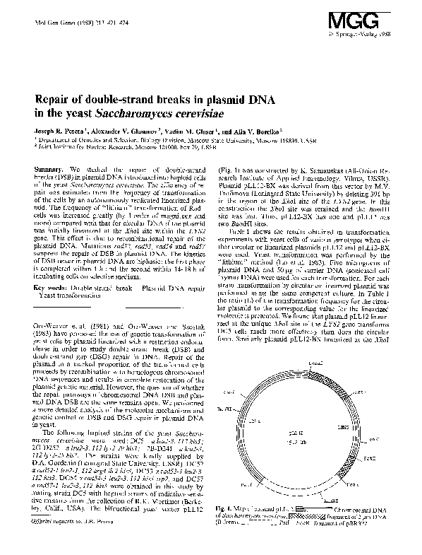 (PDF) Repair of double-strand breaks in plasmid DNA in the yeast ...