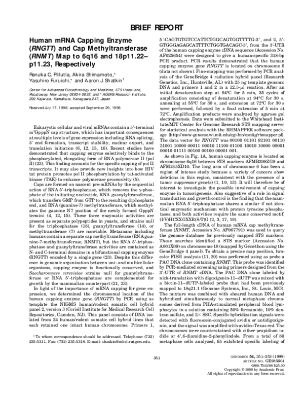 (PDF) Human mRNA Capping Enzyme (RNGTT) and Cap Methyltransferase (RNMT ...