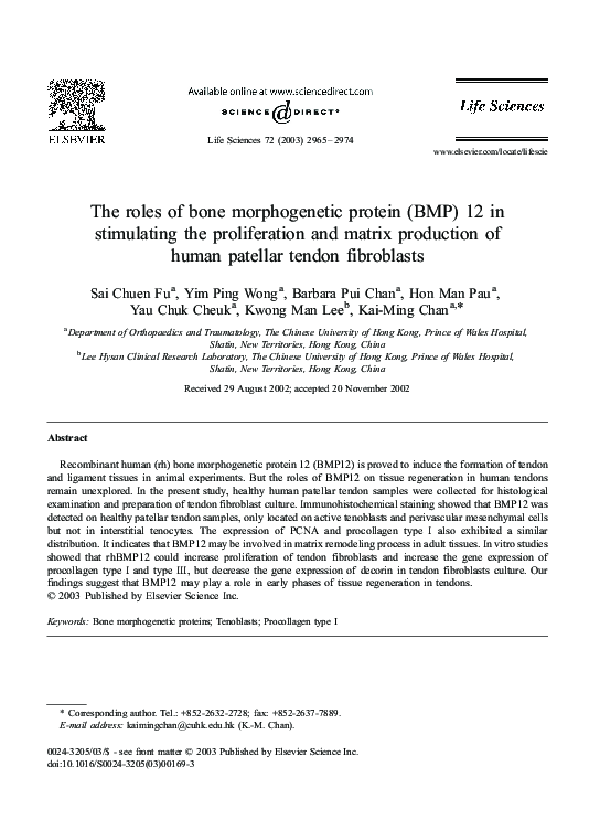 (PDF) The roles of bone morphogenetic protein (BMP) 12 in stimulating ...