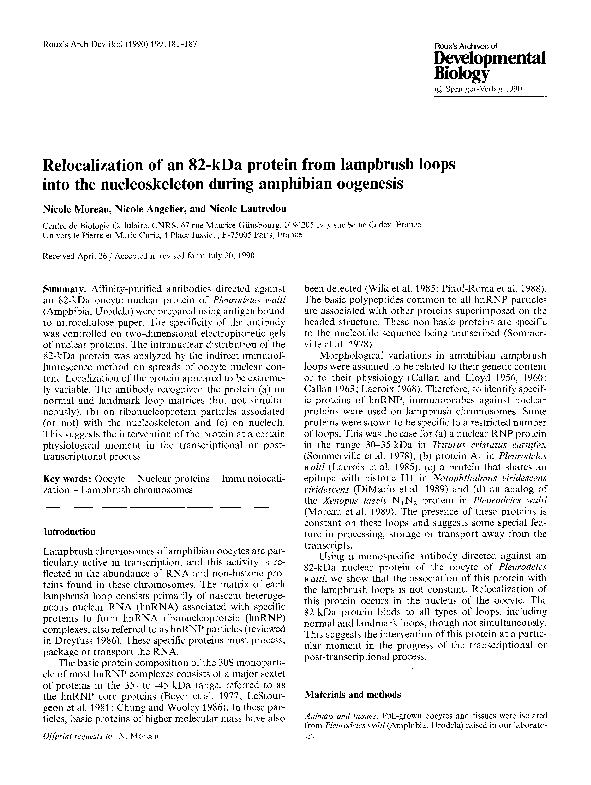 (PDF) Relocalization of an 82-kDa protein from lampbrush loops into the ...