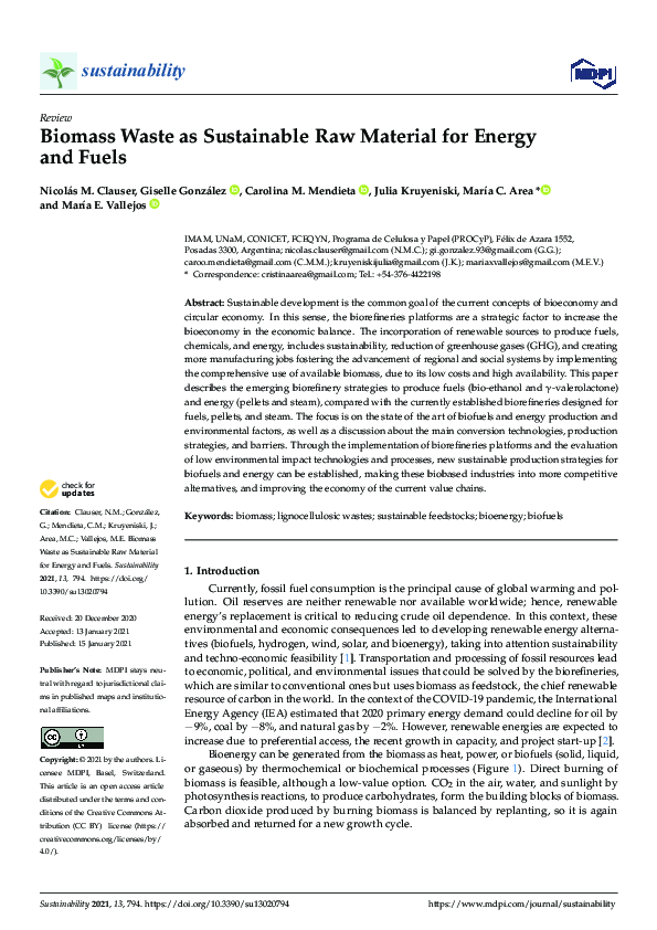 (PDF) Biomass Waste as Sustainable Raw Material for Energy and Fuels