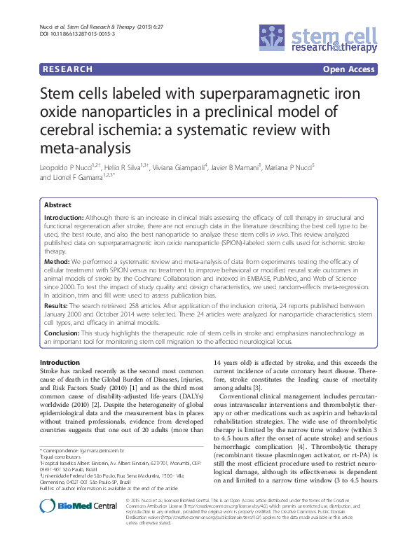 (PDF) Stem cells labeled with superparamagnetic iron oxide ...