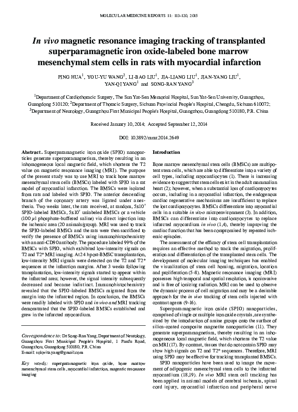 (PDF) In vivo magnetic resonance imaging tracking of SPIO-labeled human ...