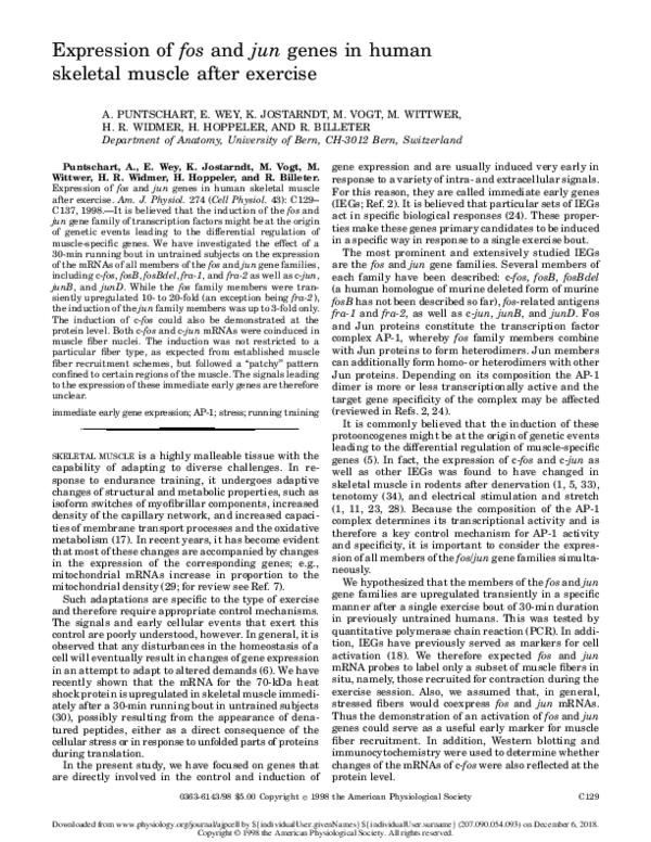 (PDF) Expression of fos and jun genes in human skeletal muscle after ...