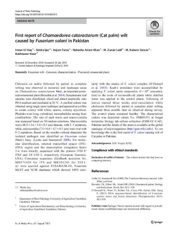 (PDF) First report of Chamaedorea cataractarum (Cat palm) wilt caused