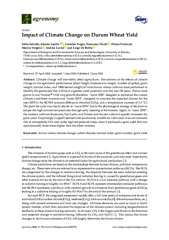(PDF) Impact of Climate Change on Durum Wheat Yield