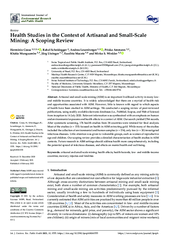 (PDF) Health Studies in the Context of Artisanal and Small-Scale Mining ...