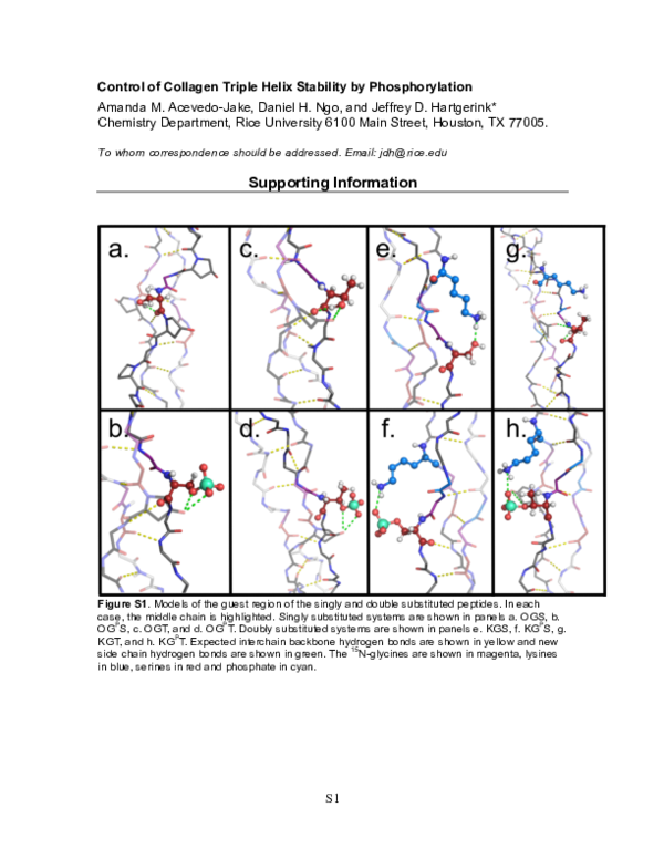 (PDF) Control of Collagen Triple Helix Stability by Phosphorylation