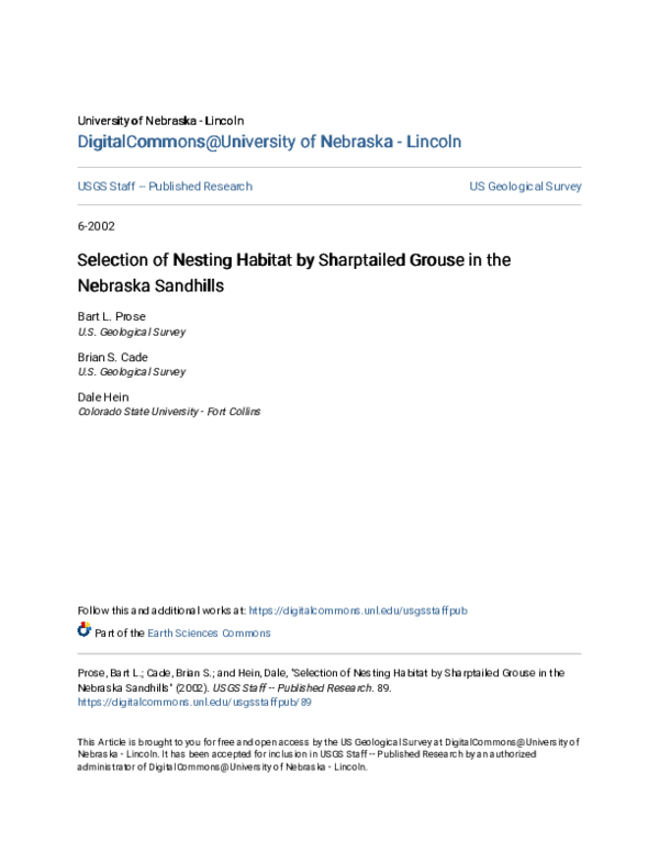 Isopods for sale picture