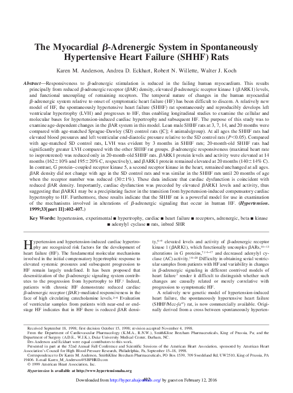 (PDF) The Myocardial b-Adrenergic System in Spontaneously Hypertensive ...