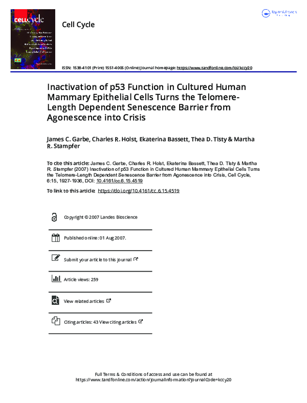 (PDF) Inactivation of p53 Function in Cultured Human Mammary Epithelial ...