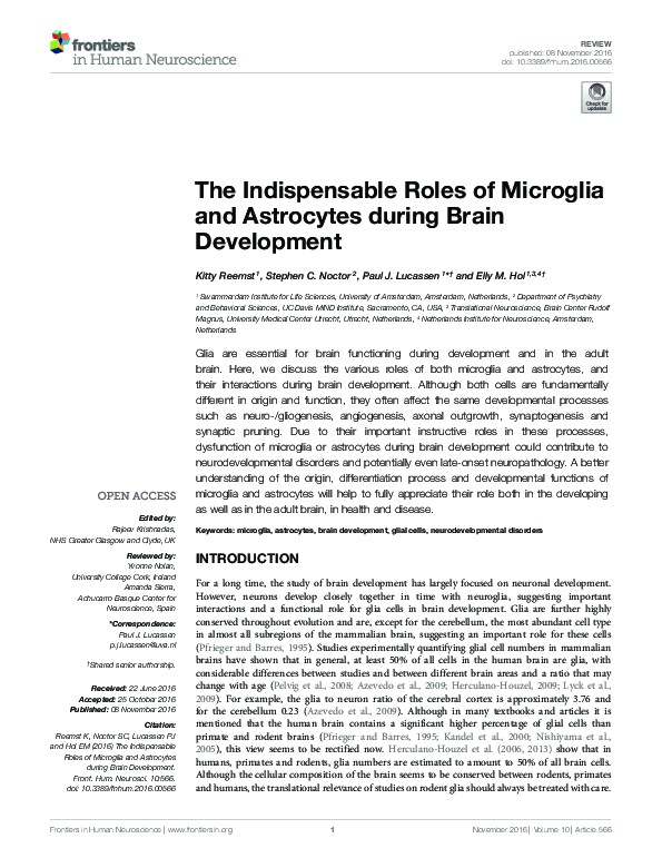 (PDF) The Indispensable Roles of Microglia and Astrocytes during Brain ...