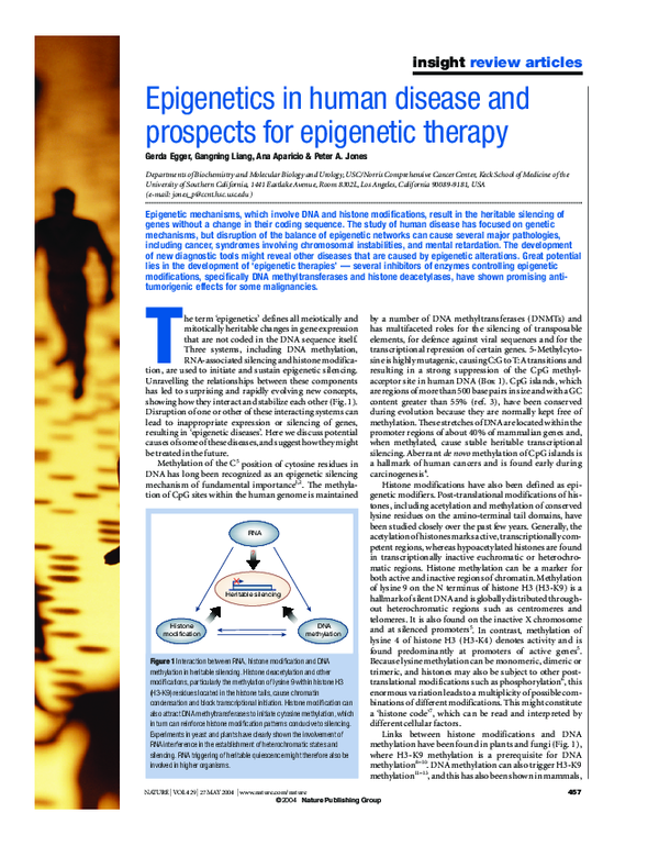 (PDF) Epigenetics in human disease and prospects for epigenetic therapy