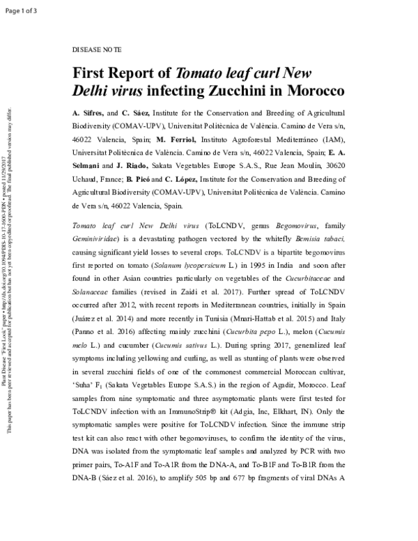 (PDF) First Report of Tomato leaf curl New Delhi virus Infecting ...
