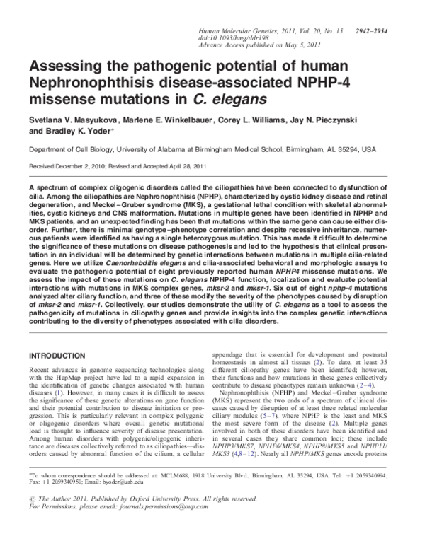 (PDF) Assessing the pathogenic potential of human Nephronophthisis ...