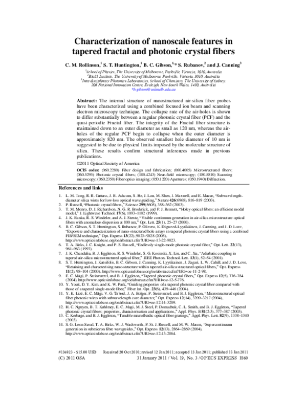 (PDF) Characterization of nanoscale features in tapered fractal and ...
