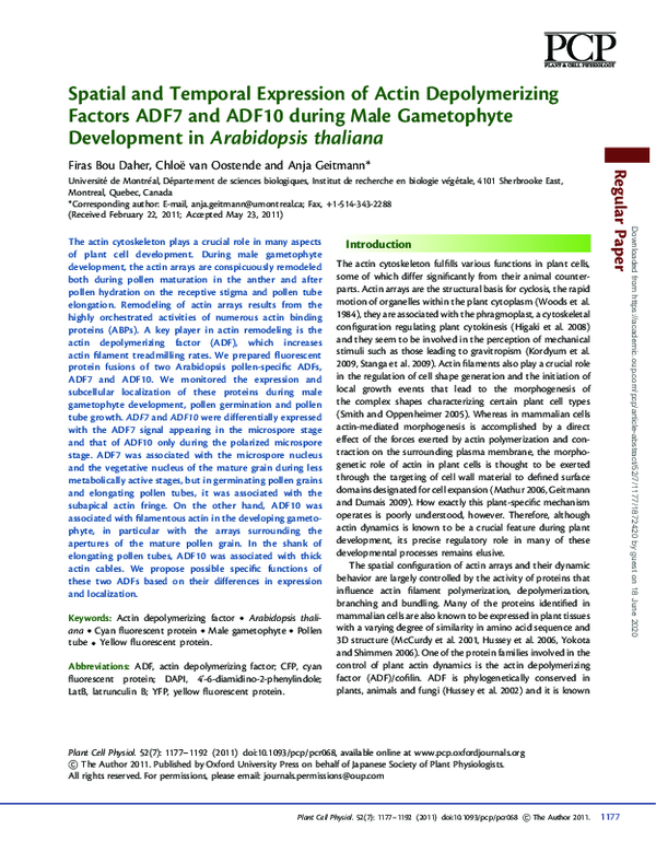 (PDF) Spatial and Temporal Expression of Actin Depolymerizing Factors ...