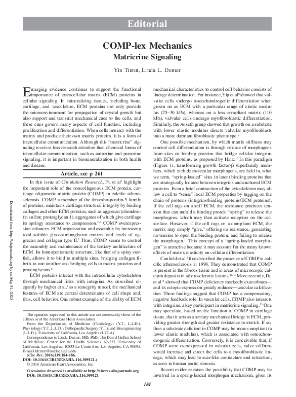 (PDF) COMP-lex Mechanics