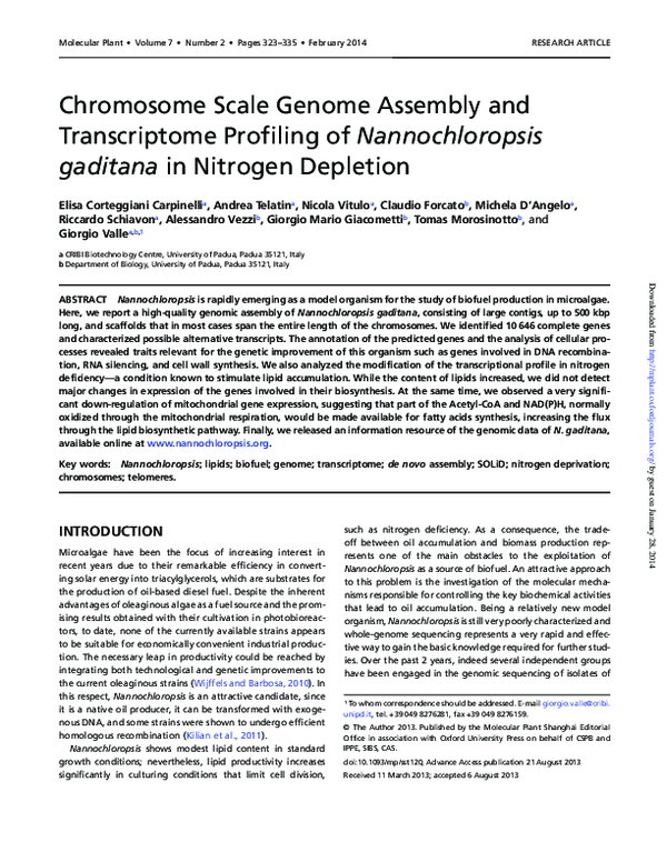 (PDF) Chromosome Scale Genome Assembly and Transcriptome Profiling of ...