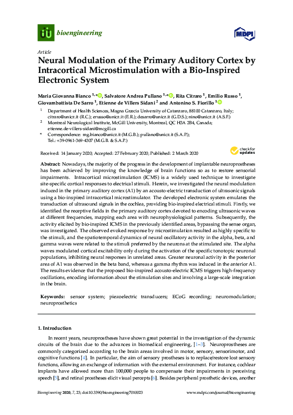(PDF) Neural Modulation of the Primary Auditory Cortex by Intracortical ...