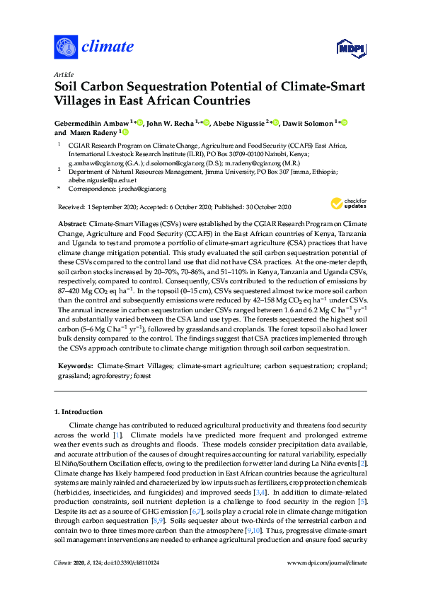 Smart village requirements picture