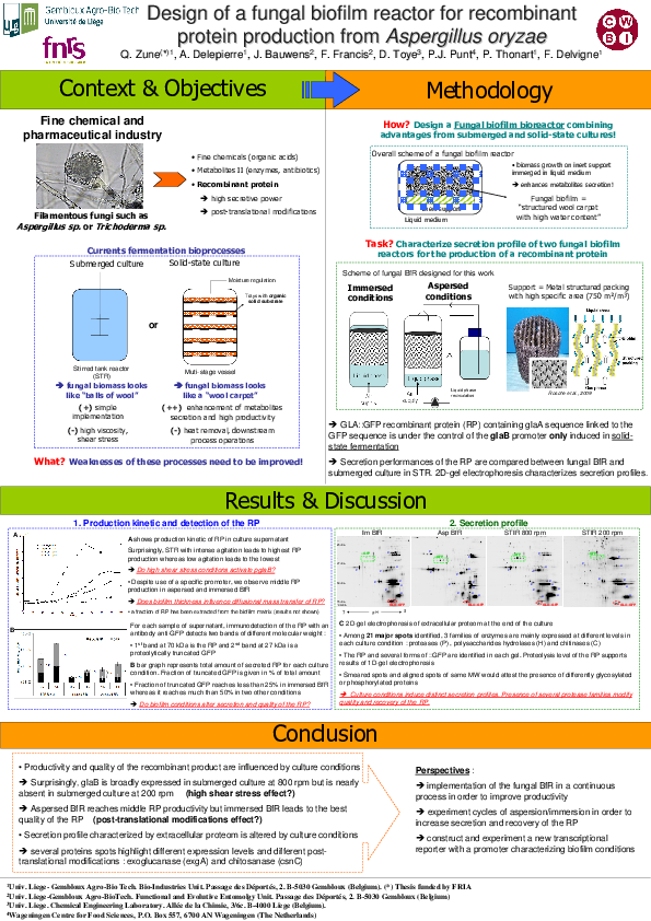 (PDF) Design of a fungal biofilm reactor for protein production from Aspergillus