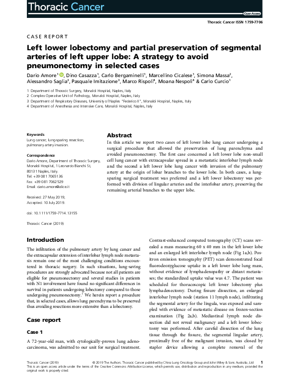 (PDF) Left lower lobectomy and partial preservation of segmental ...